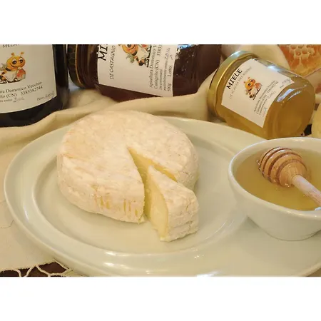 Bed & Breakfast Vecchio *