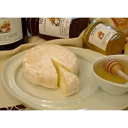 Vecchio Bed & Breakfast Castagnito