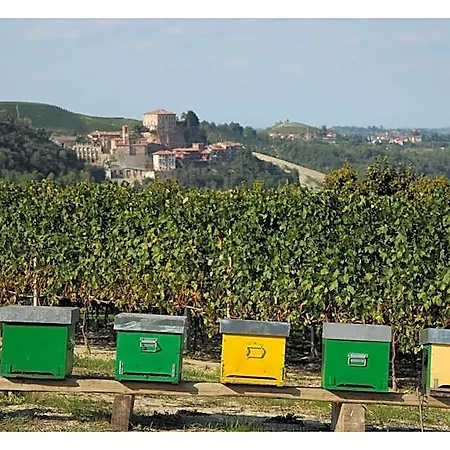 Vecchio 4* Castagnito
