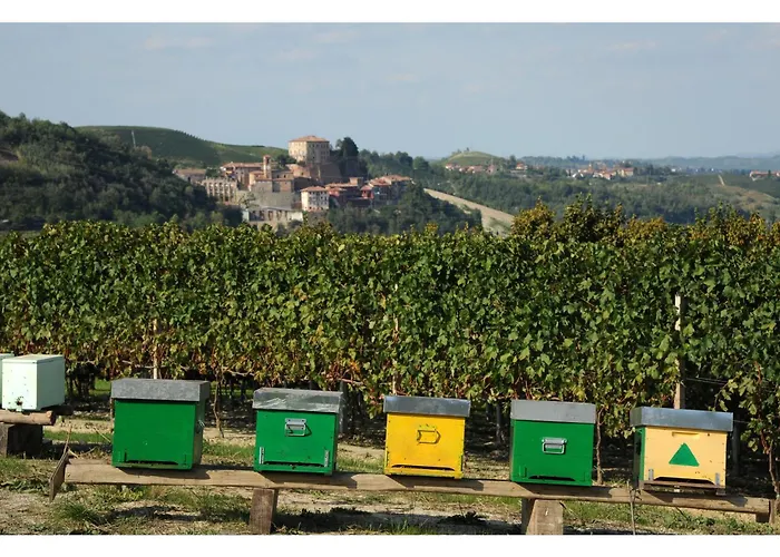 Bed & Breakfast Vecchio